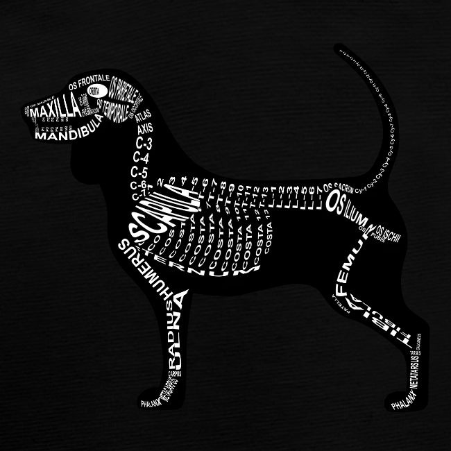 Beagle
