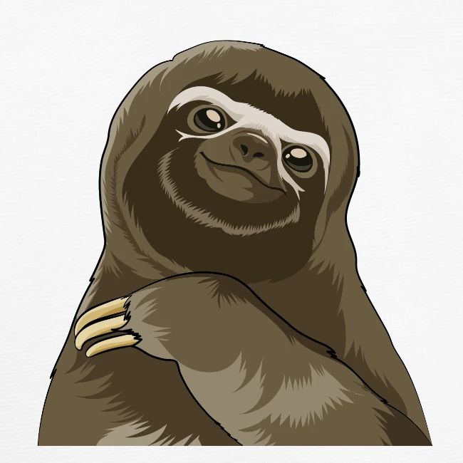Sloth face