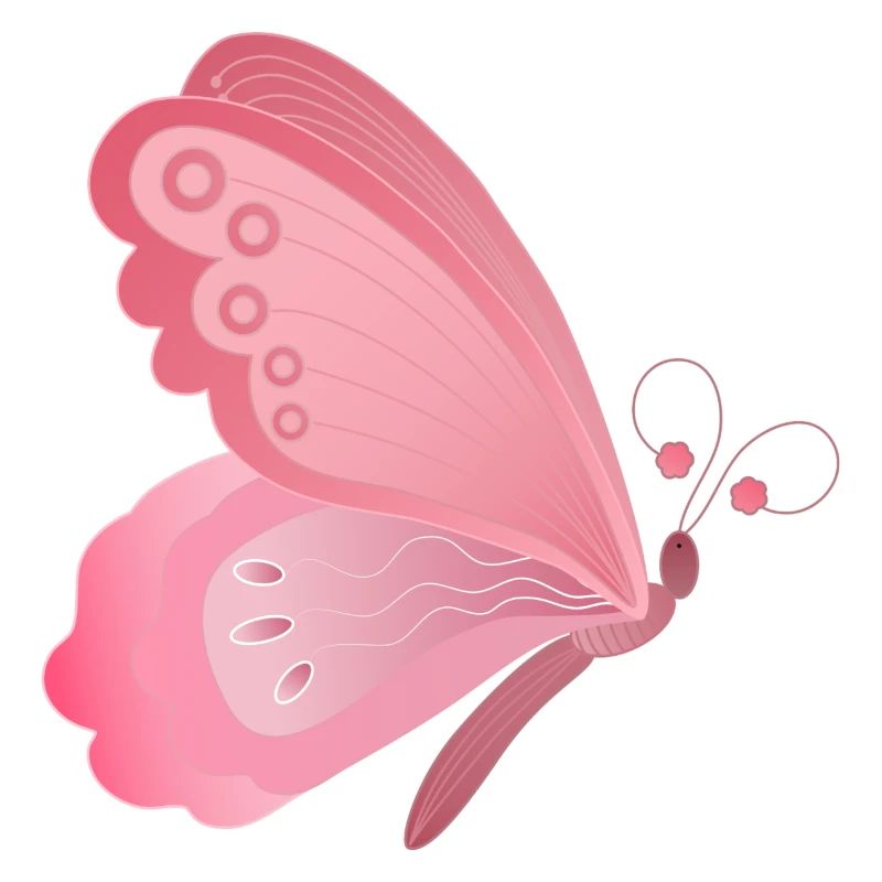 papillon rose