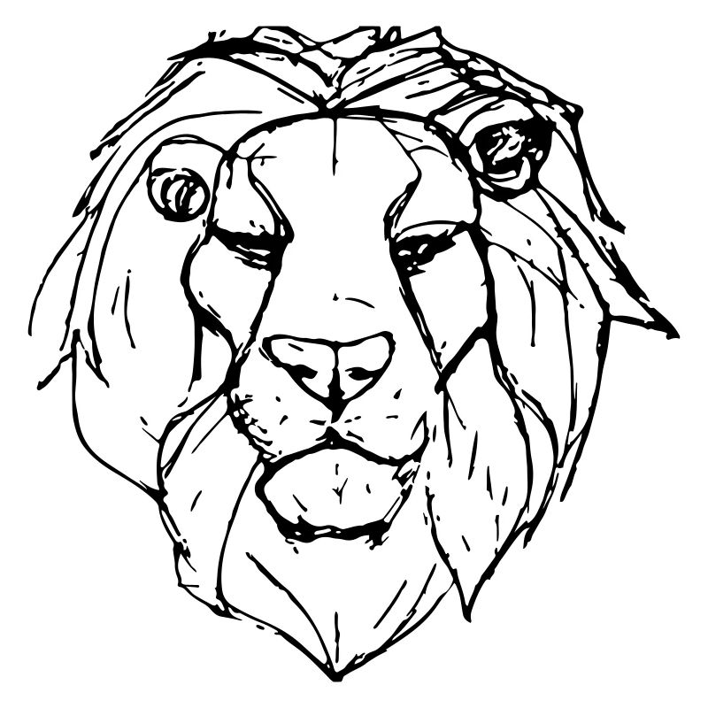 Sketch Lion's Head Gift