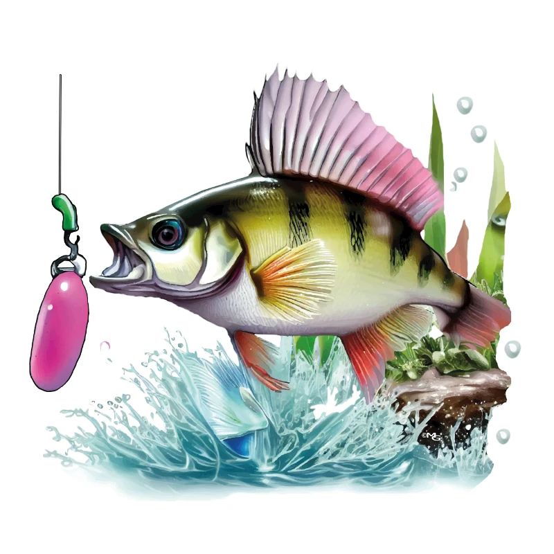Pêche à la perche