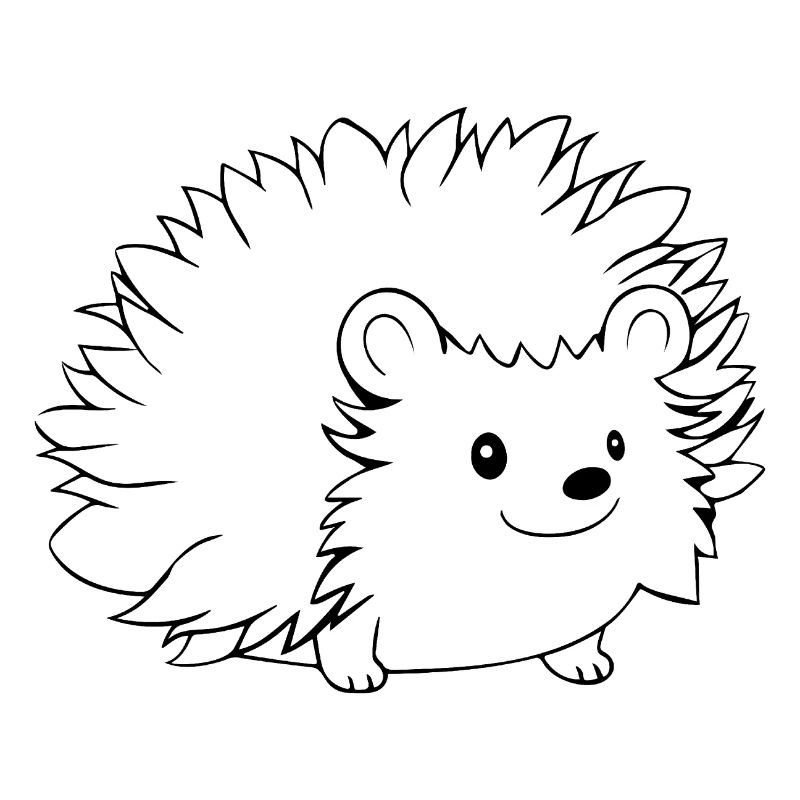 Igel Wald Stachelig Tier