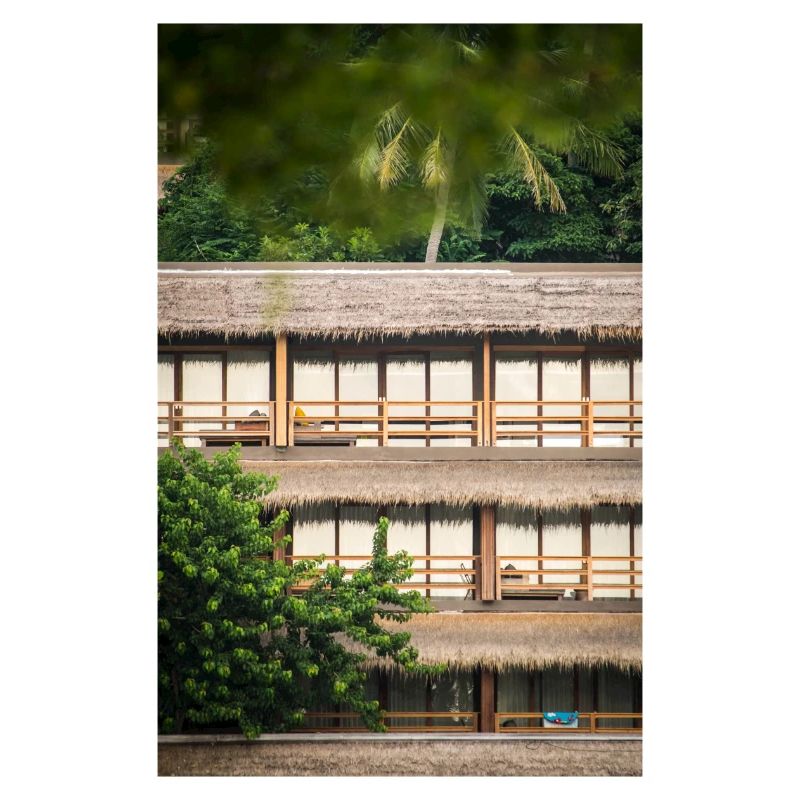 hotel under palm trees