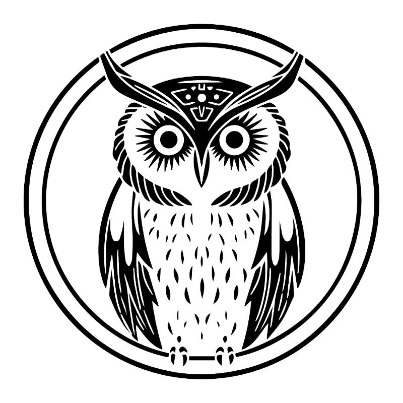 Eule Eulen Vogel Vögel