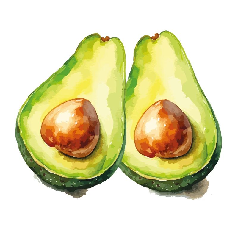 avocado 2