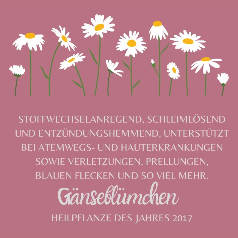 Gänseblümchen