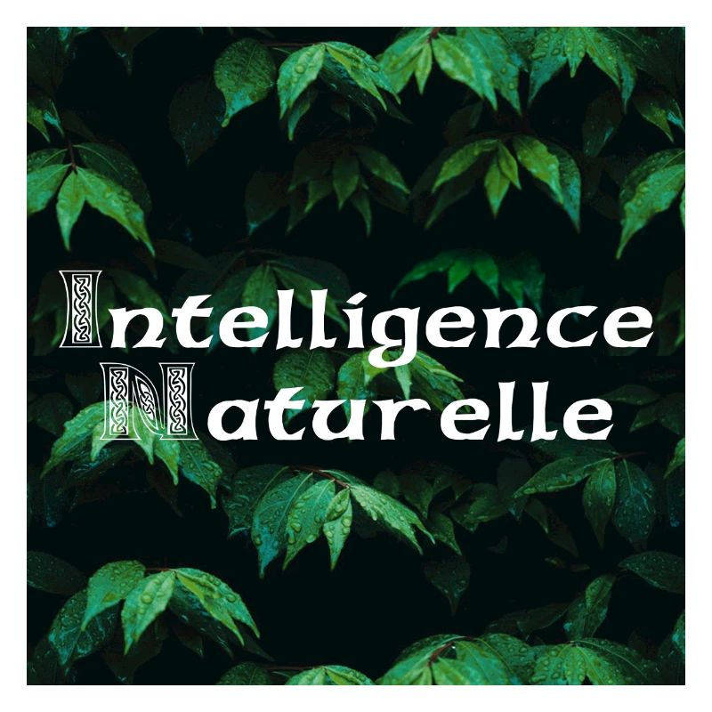 Natural artificial intelligence