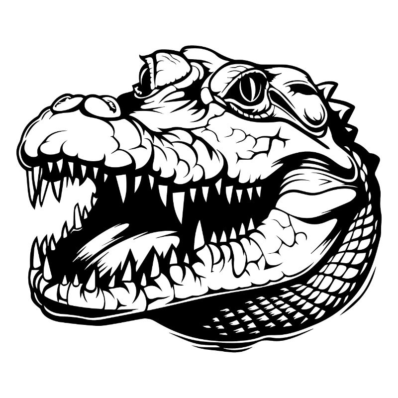 Crocodile Alligator