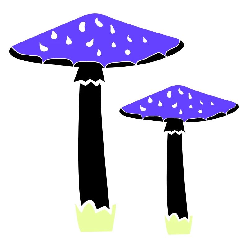 Mushrooms 2