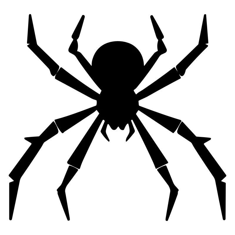 Spinne