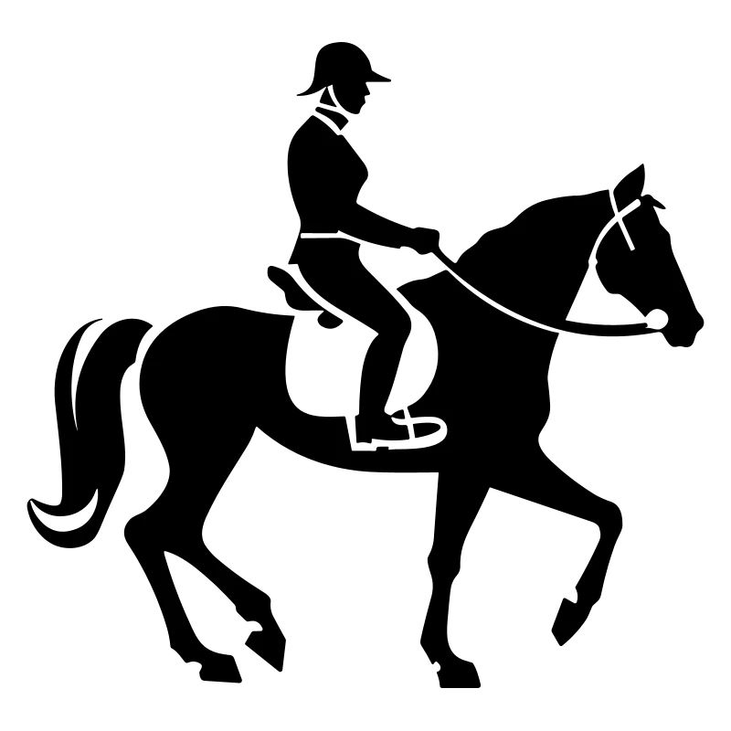 Reiter Pferd Reiter