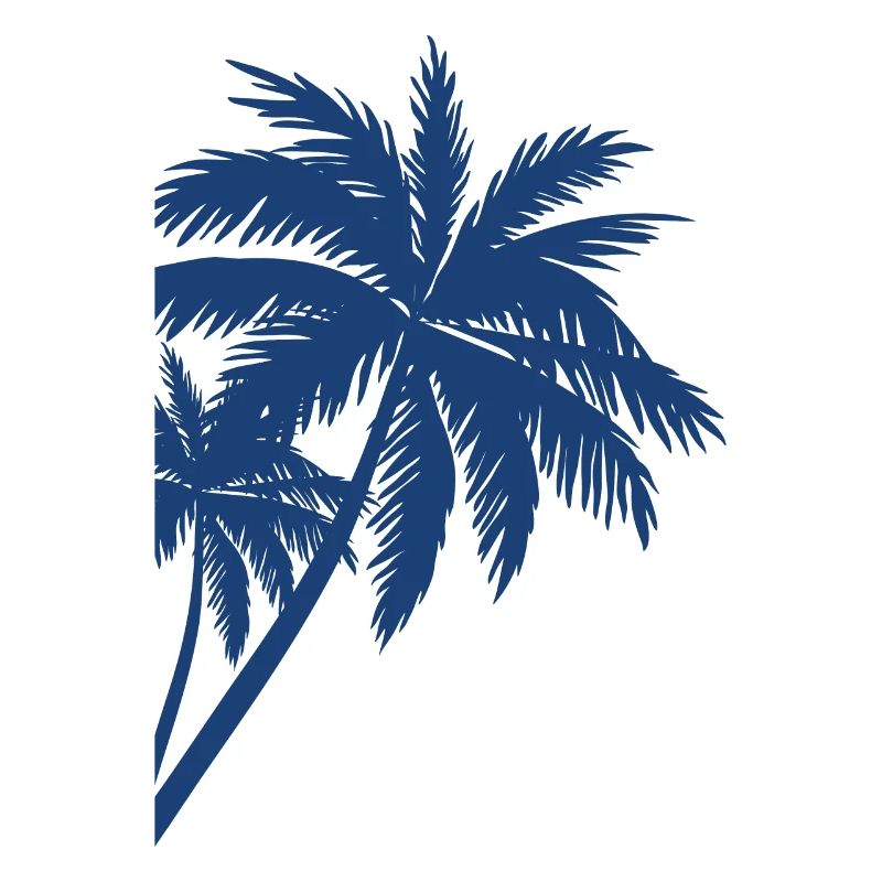 Palme Palm