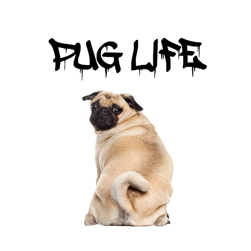 Pug Life