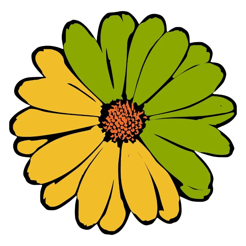 Fleur jaune vert jaune vert fleur