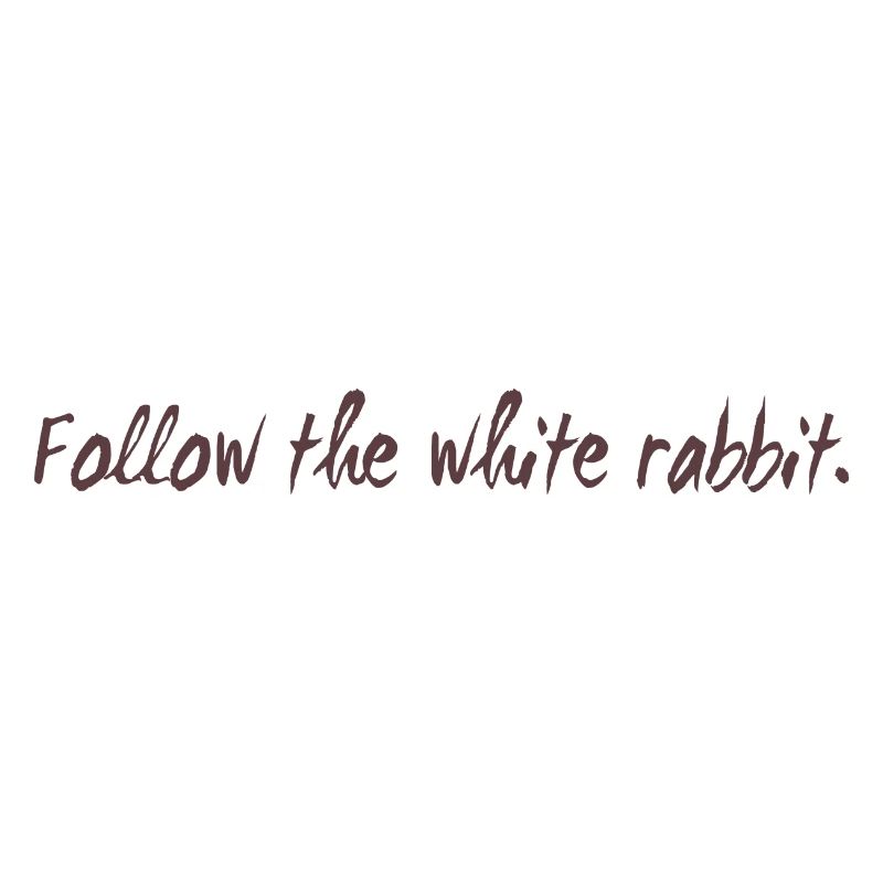Follow the white rabbit Programming Geschenk