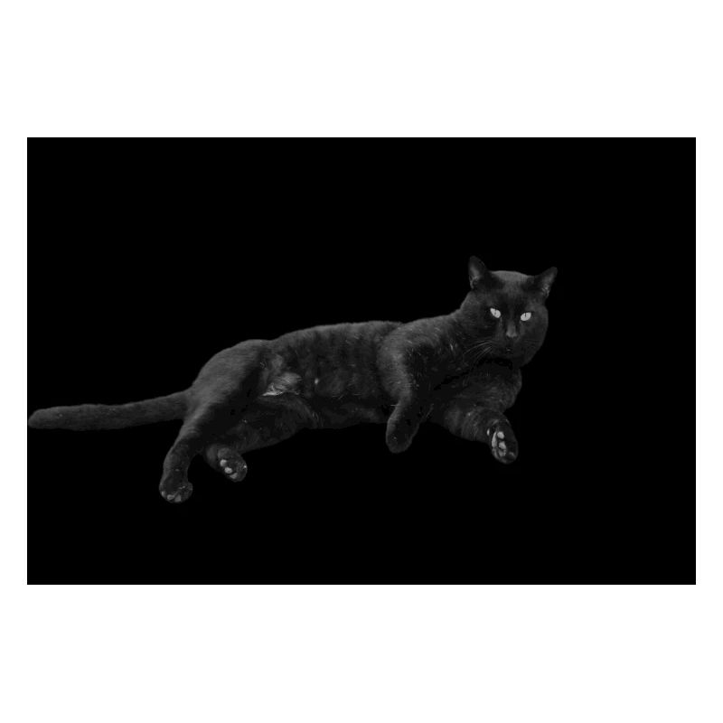 Chat noir Chat Chat Noir Chat Cadeau