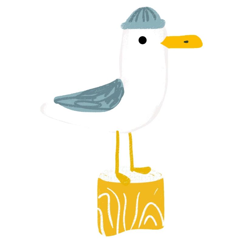 Möwe