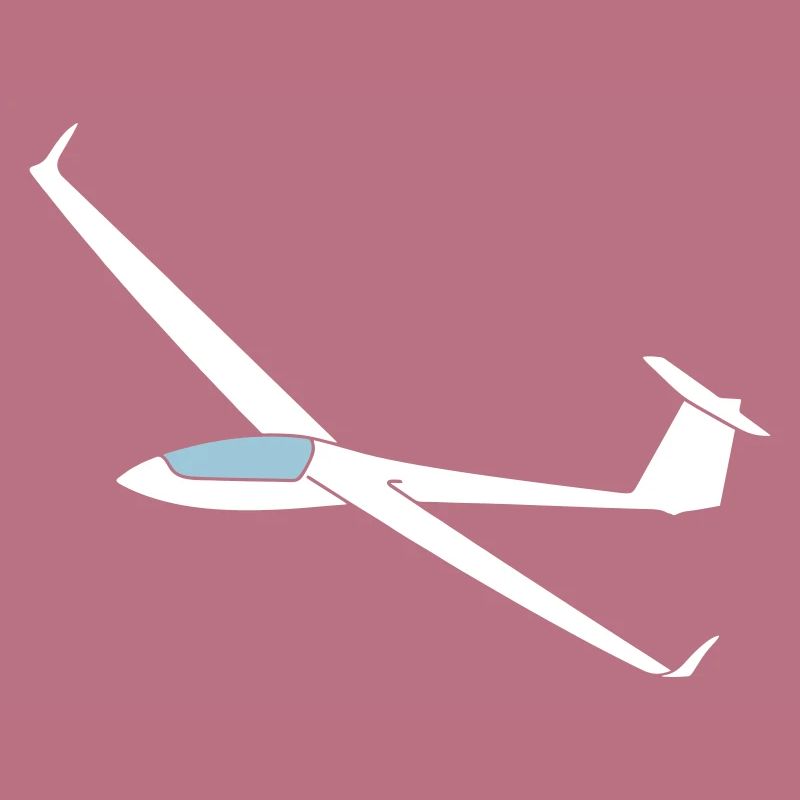 ls8neo glide pilot glider glider