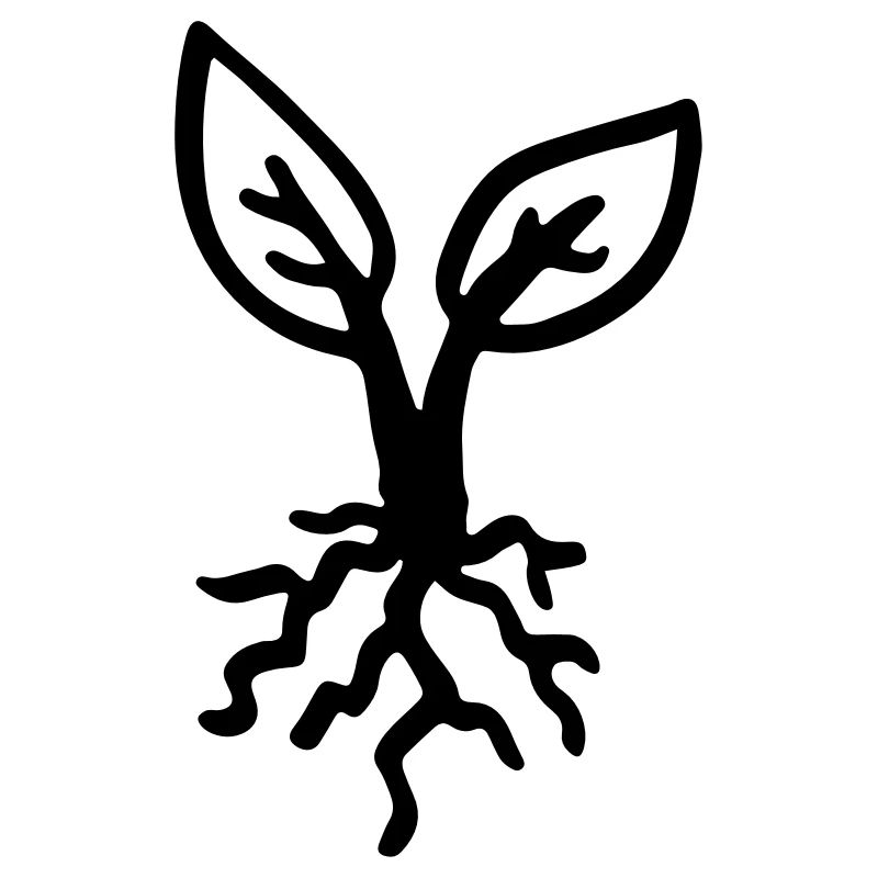 Racine / plante - racine - plantule - pousse