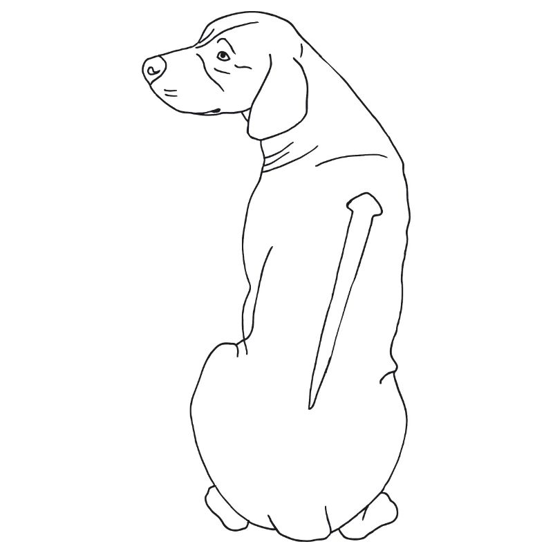 Rhodesian Ridgeback