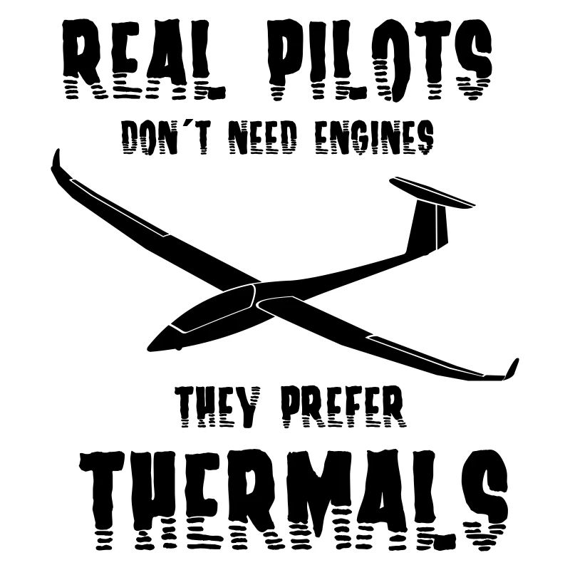 Glider glider flying glider pilot