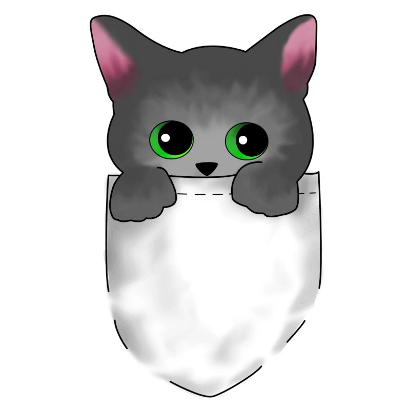 Bébé chat Perser Birmanie