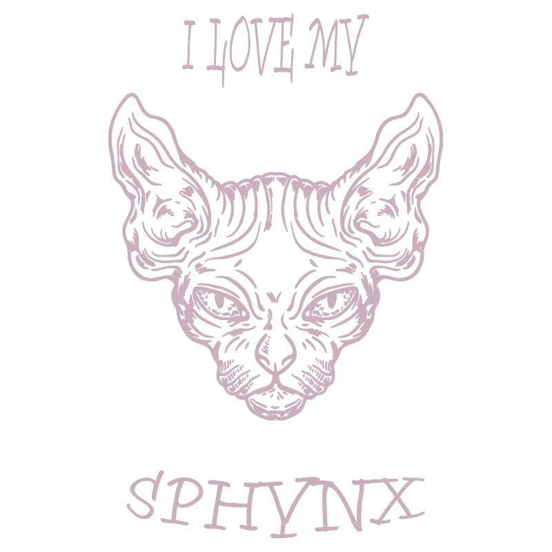 Nacktkatze Sphynx Katze