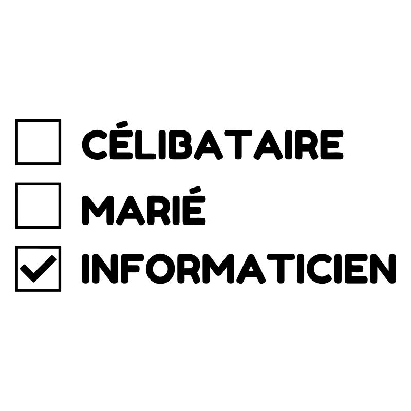 informatique / informaticien / ordinateur / geek