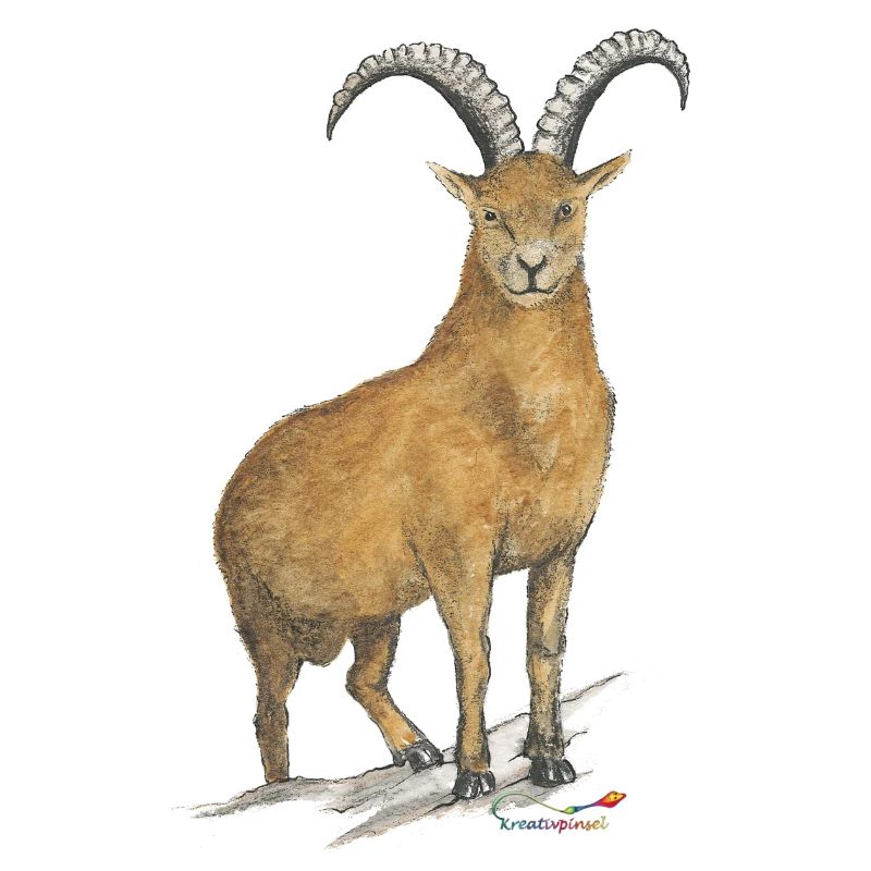 Steinbock