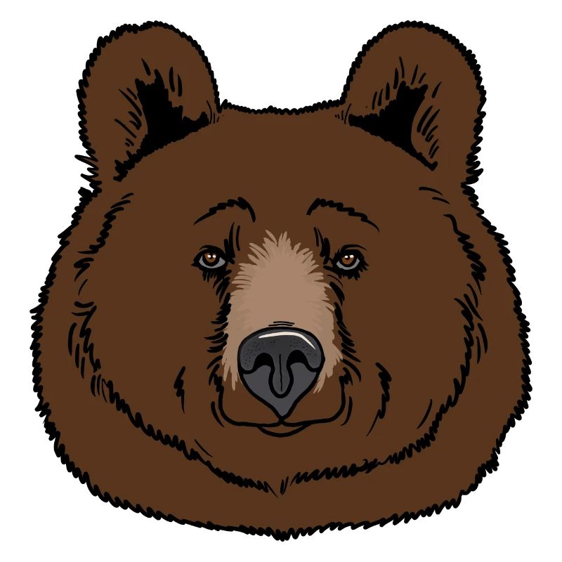 Brown bear head