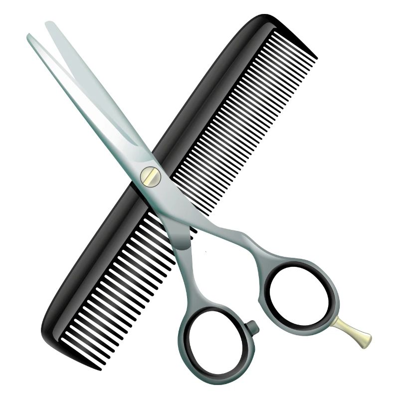 Ciseaux de coiffure avec peigne