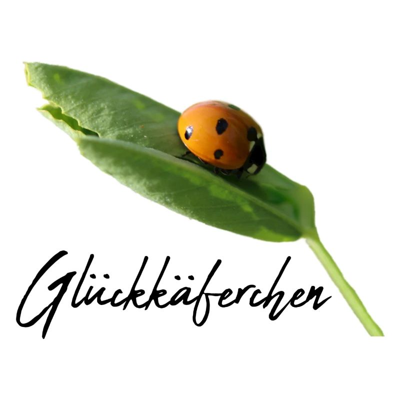 Glückskäferchen Marienkäfer Glücksbringer