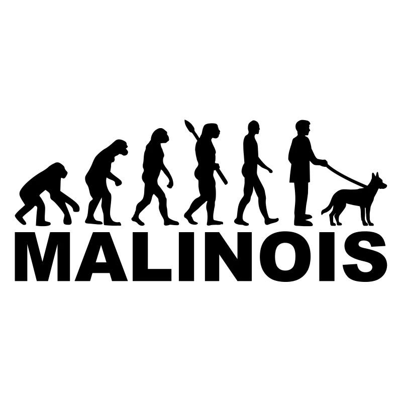 Malinois