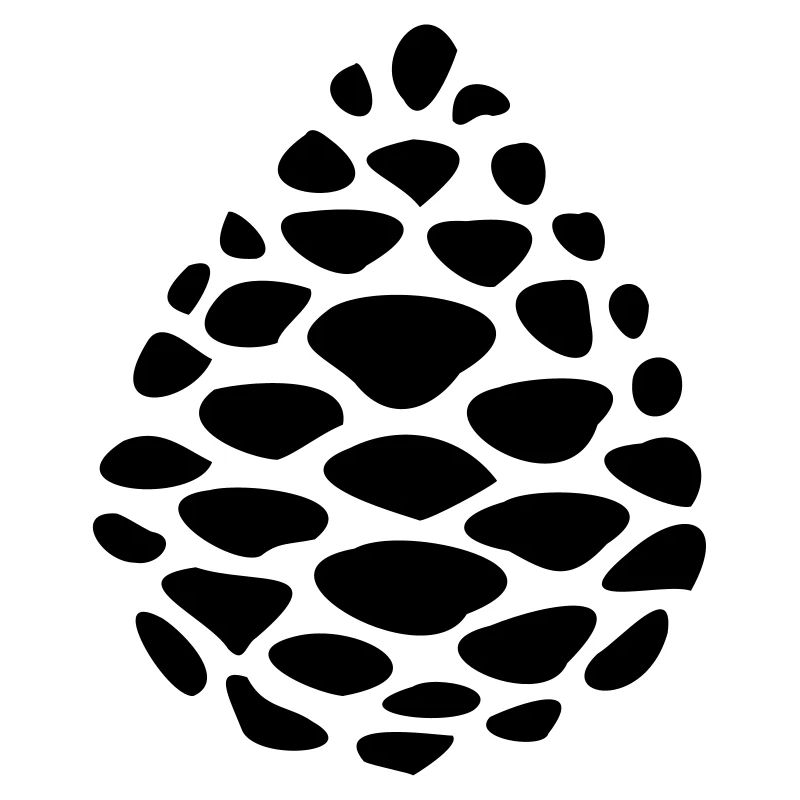 Pine cones pomme de pin pinecone