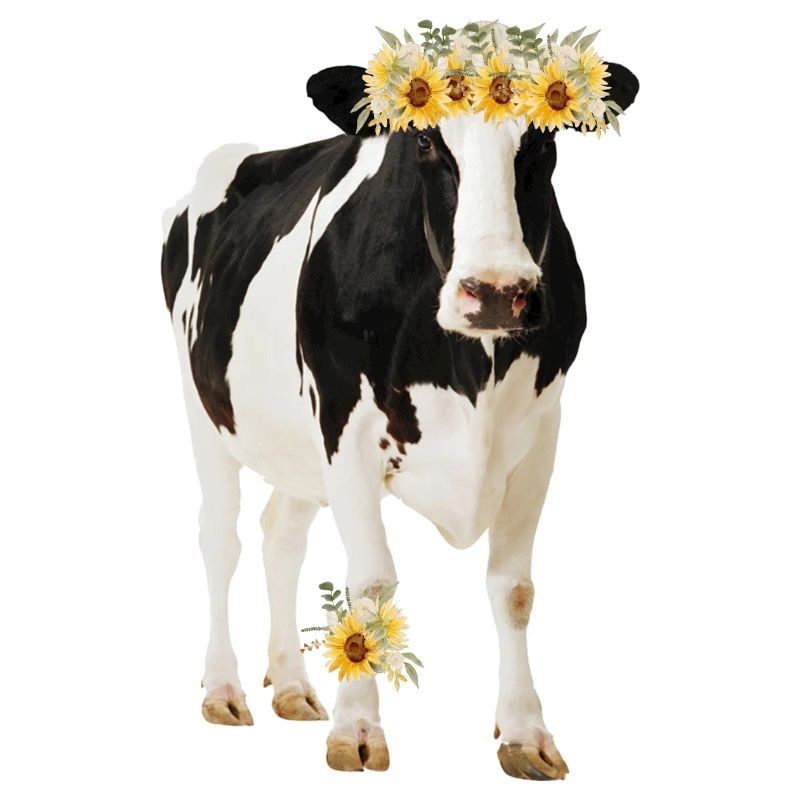 Holstein Kuh mit Blüten