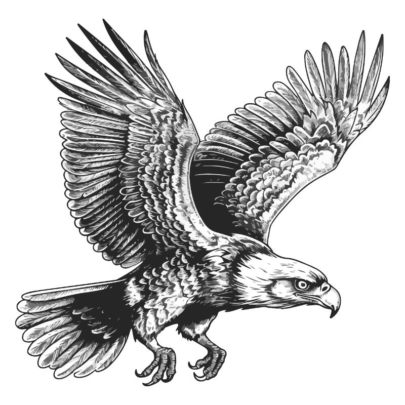 Aigle volant