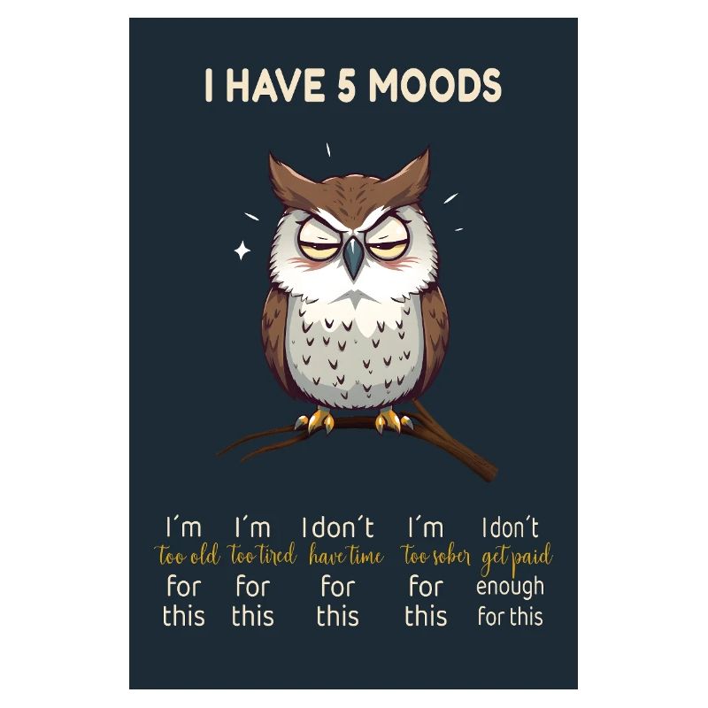 Grumpy Owl - J’ai 5 humeurs Design drôle