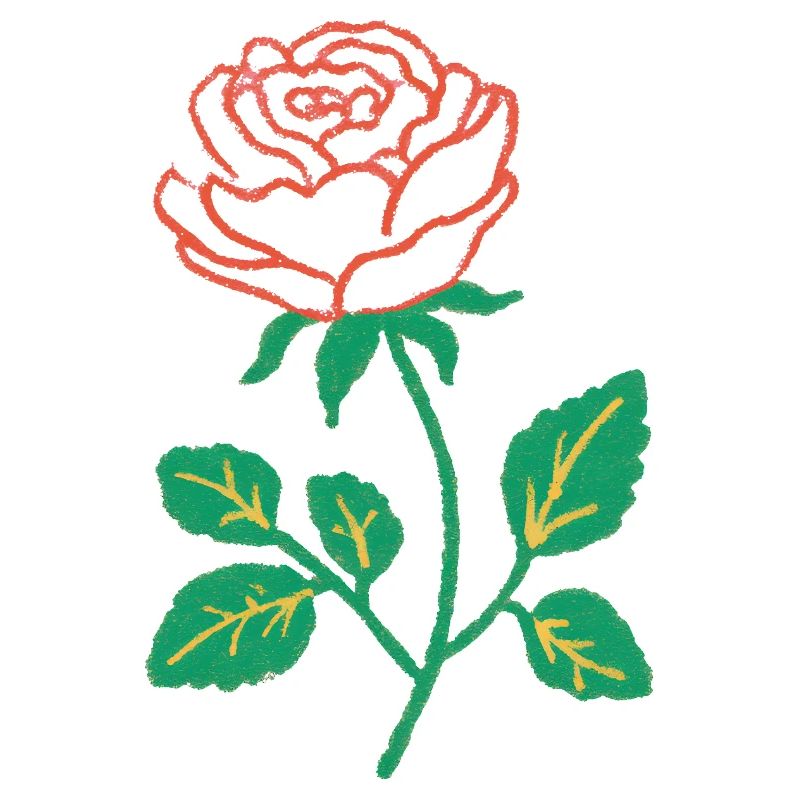 Crimson Rose Linework on Green Stem