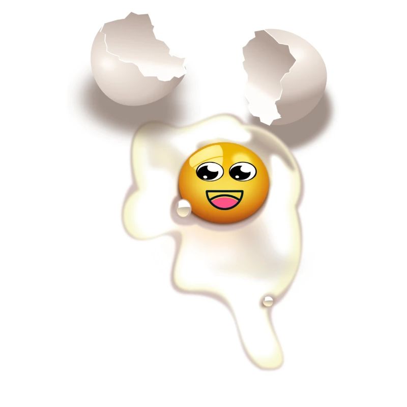 Fried egg with and broken eggshell