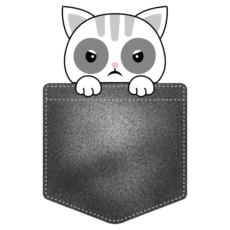 conception de poche avec chat regardant par le haut