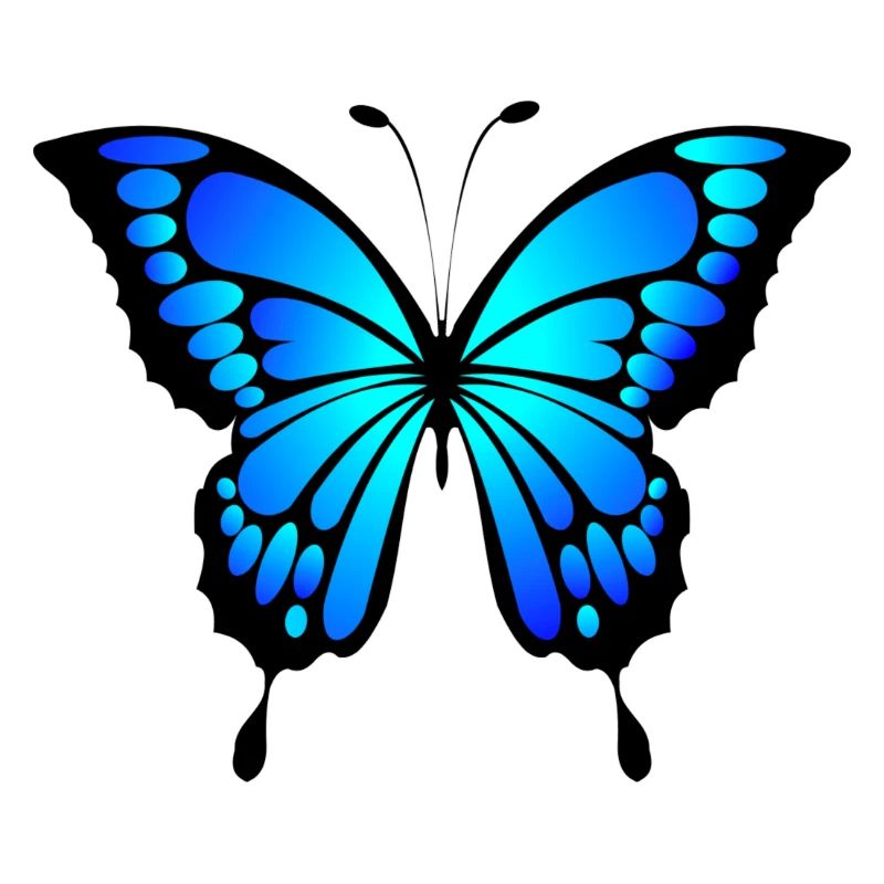 Blauer Schmetterling