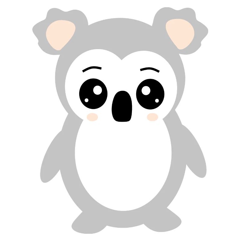 koala koala ours ours face oeil mignon