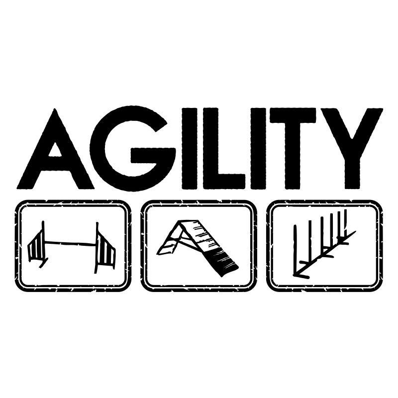Icônes d'agilité