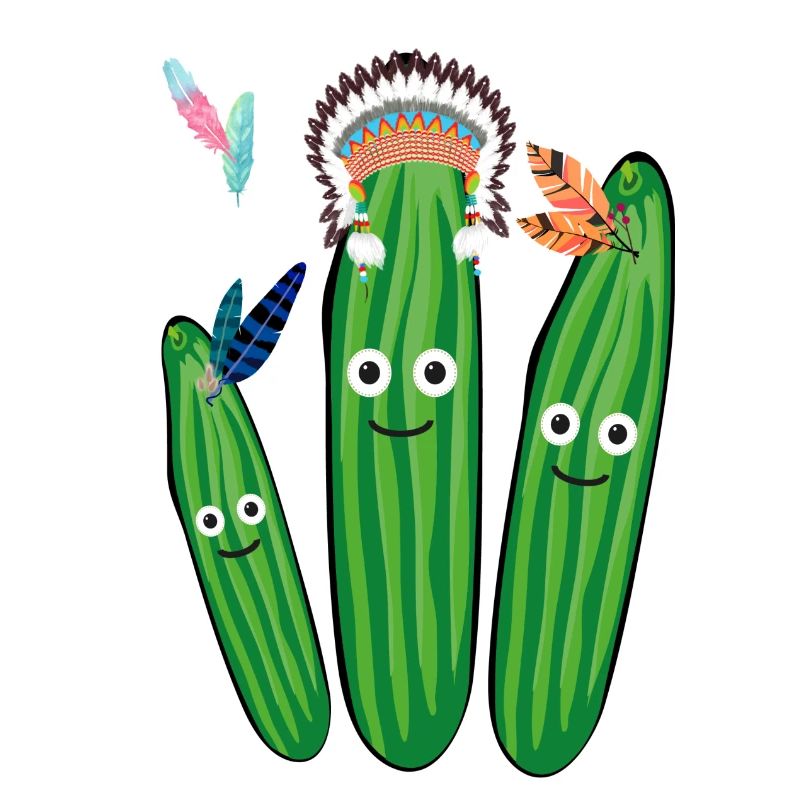 concombre, concombre, indien, plumes, coiffe de plumes