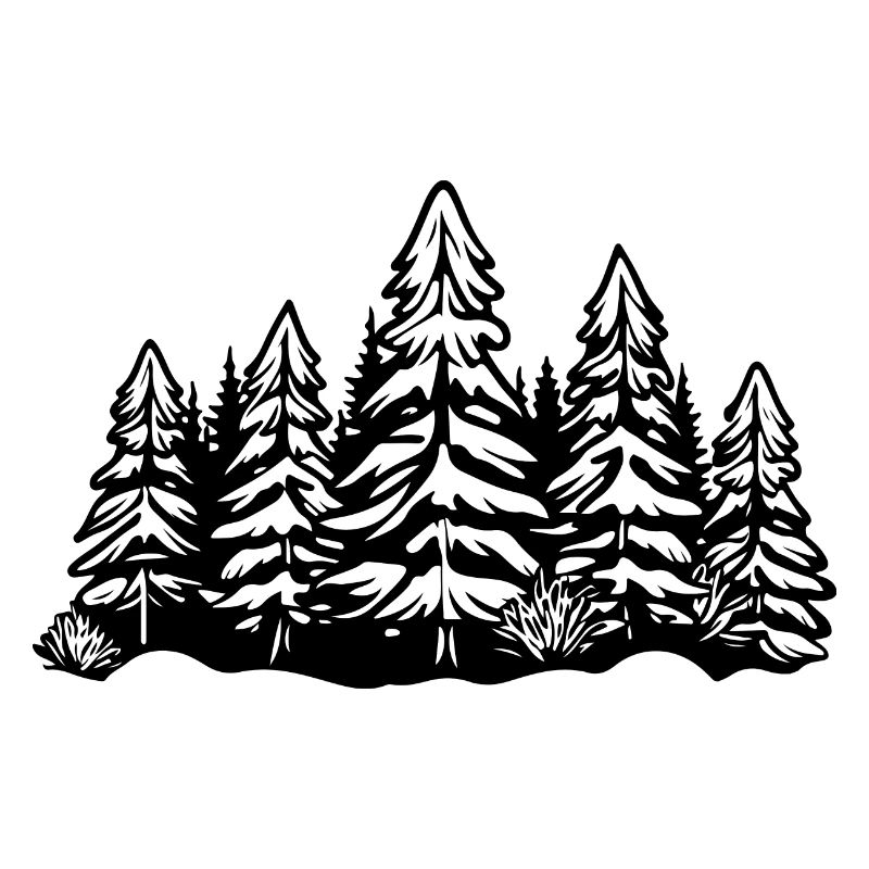 Wald Bäume
