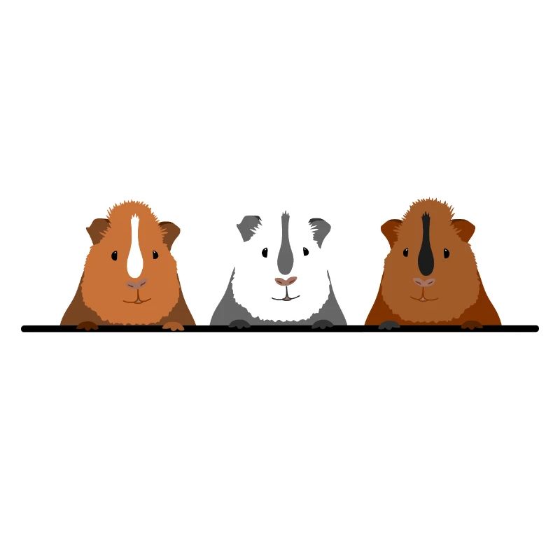Cadeau mignon de 3 cochons d'Inde