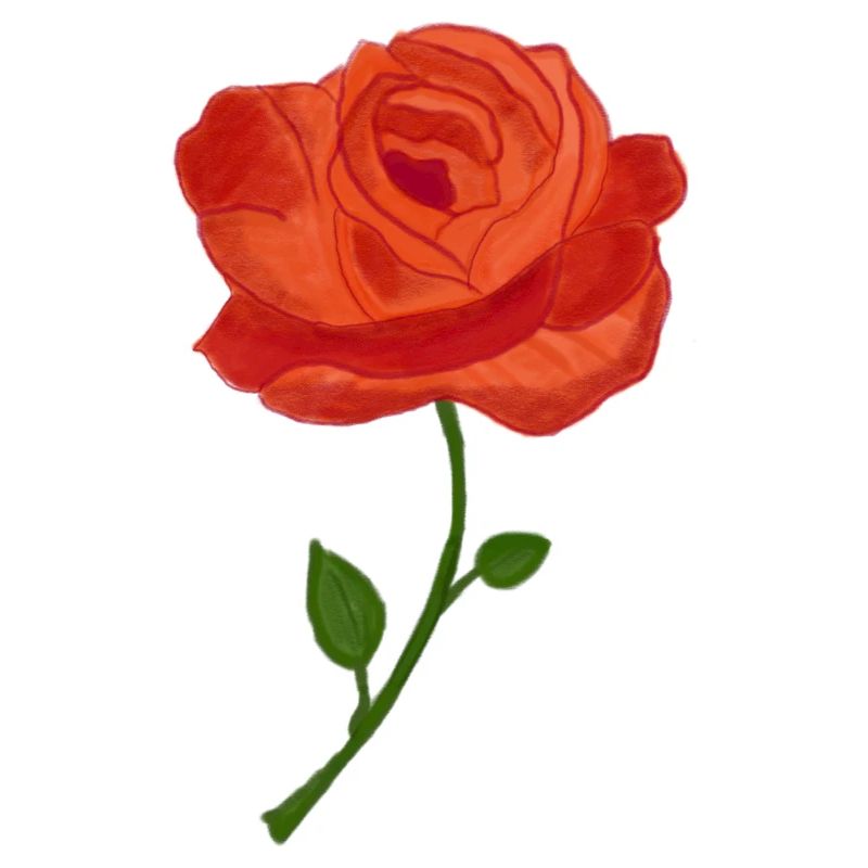 Geburtsblume Juni Rose