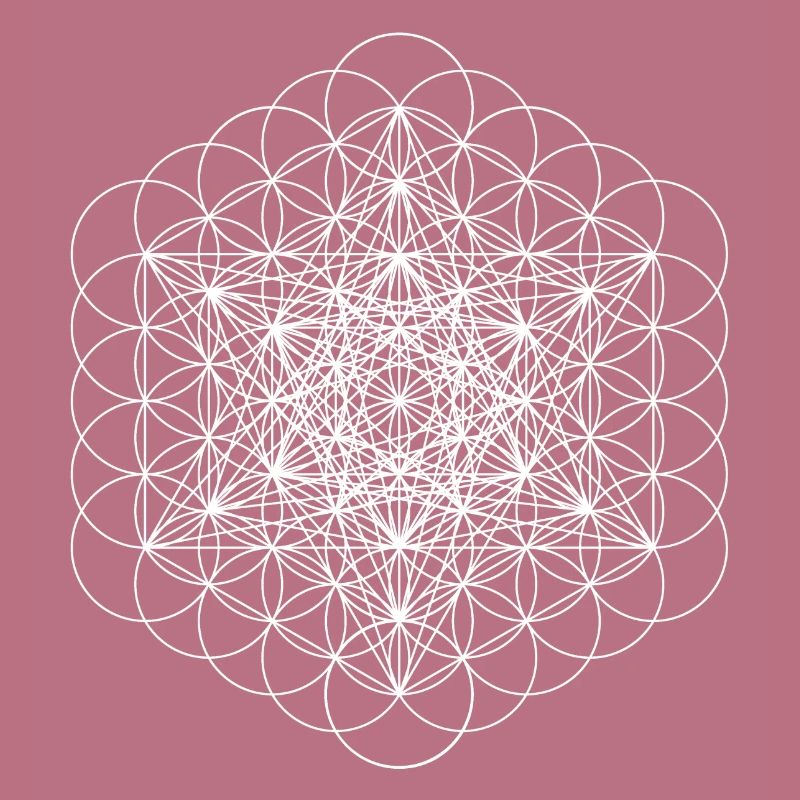 metatrons cube white