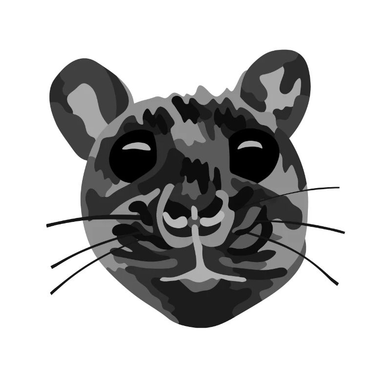 Die schwarze Ratte - black Rat