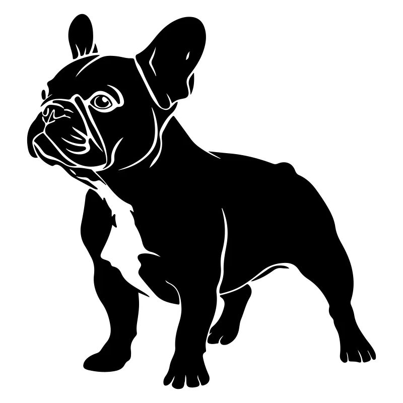 Bouledogue français
